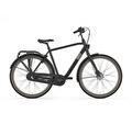 Gazelle Esprit 49cm