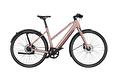 SALE Riese & Müller UBN Seven Silent