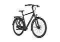 GAZELLE Chamonix C7 61cm
