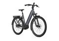 Gazelle Ultimate C5+ L53