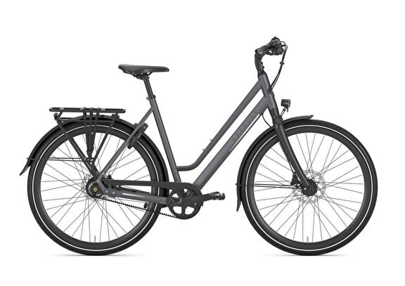 GAZELLE Chamonix S11 