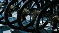 Sportief de herfst inmet Rolfes Sports Cycling Lifestyle
