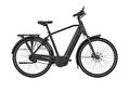 Gazelle Grenoble C5+ 65cm