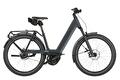 Riese & Müller Nevo5 rohloff L