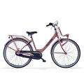 Alpina Clubb mt38cm
