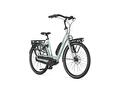 GAZELLE Bloom C7