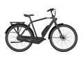 GAZELLE Esprit C7 64cm