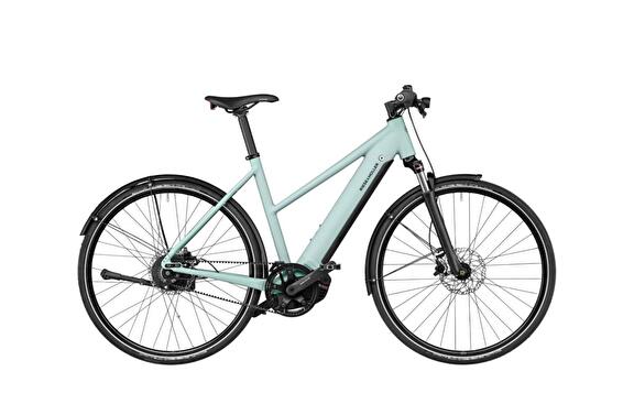 Riese & Müller Roadster Mixte Vario