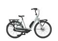 Gazelle Bloom C7 53cm