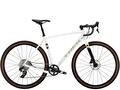 Trek Checkpoint ALR 5 AXS 58cm