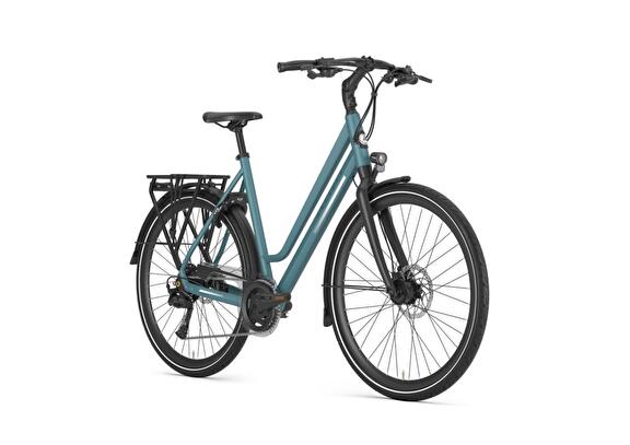 GAZELLE Chamonix T20