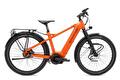 Santos Travelmaster E+ Mixte Rohloff