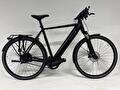 Riese & Müller Roadster Vario Nyon
