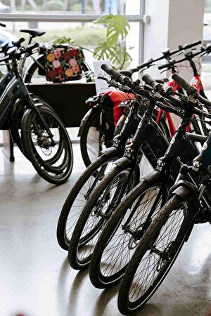 Gehele collectie Rolfes Sports fietsen