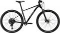 CANNONDALE Trail SL 3 